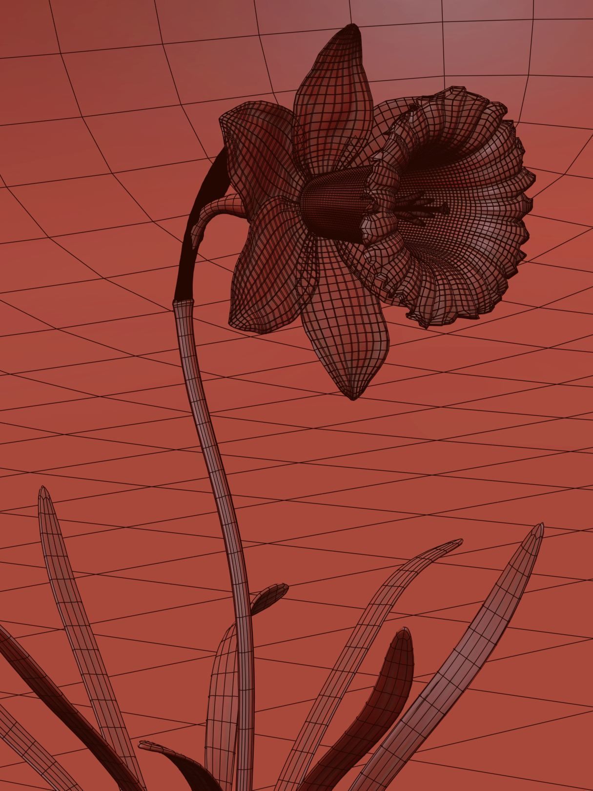 Daffodil Low-poly 3D model_13