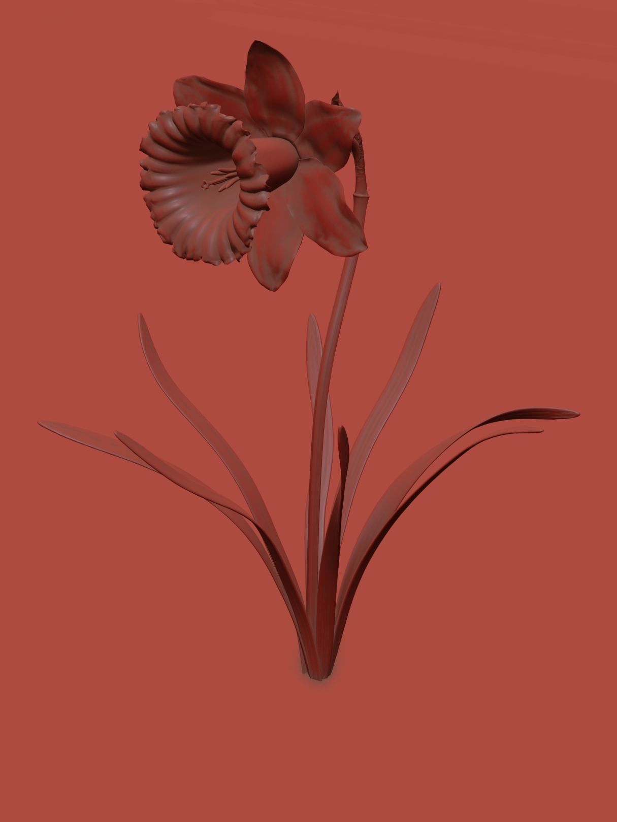 Daffodil Low-poly 3D model_6