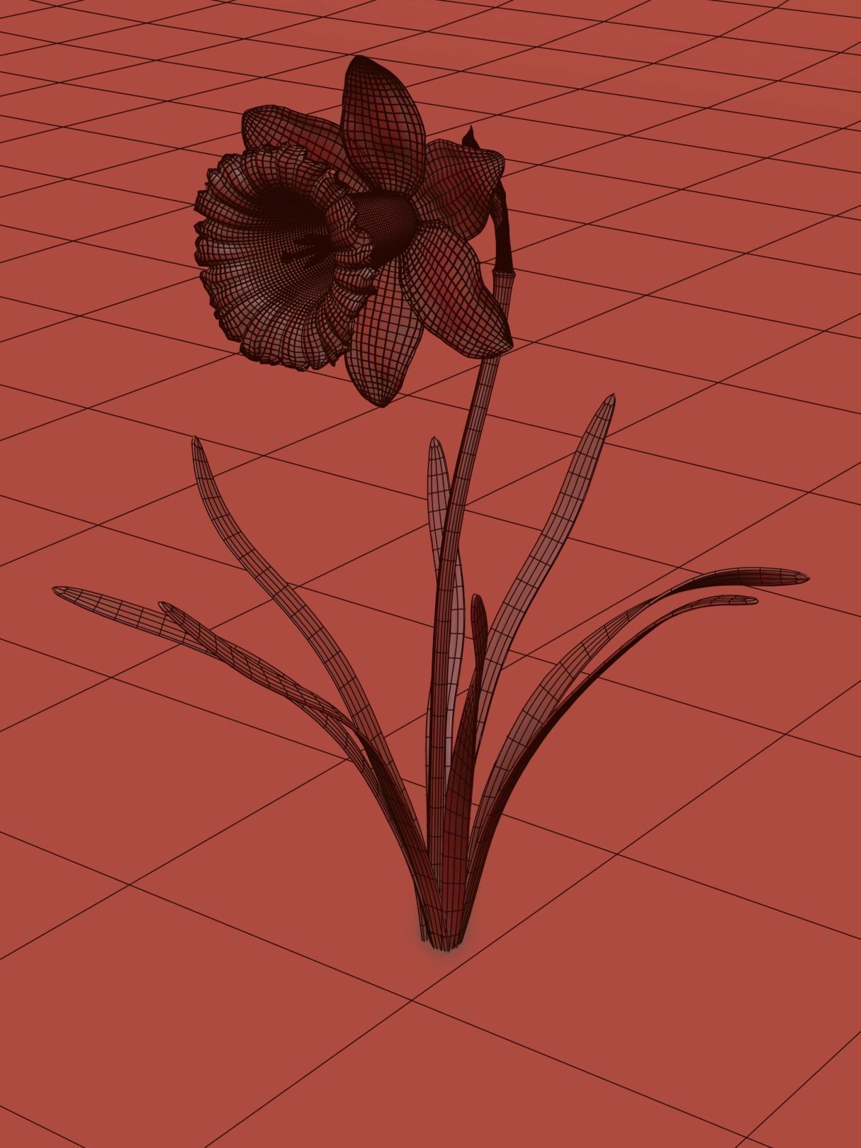 Daffodil Low-poly 3D model_11
