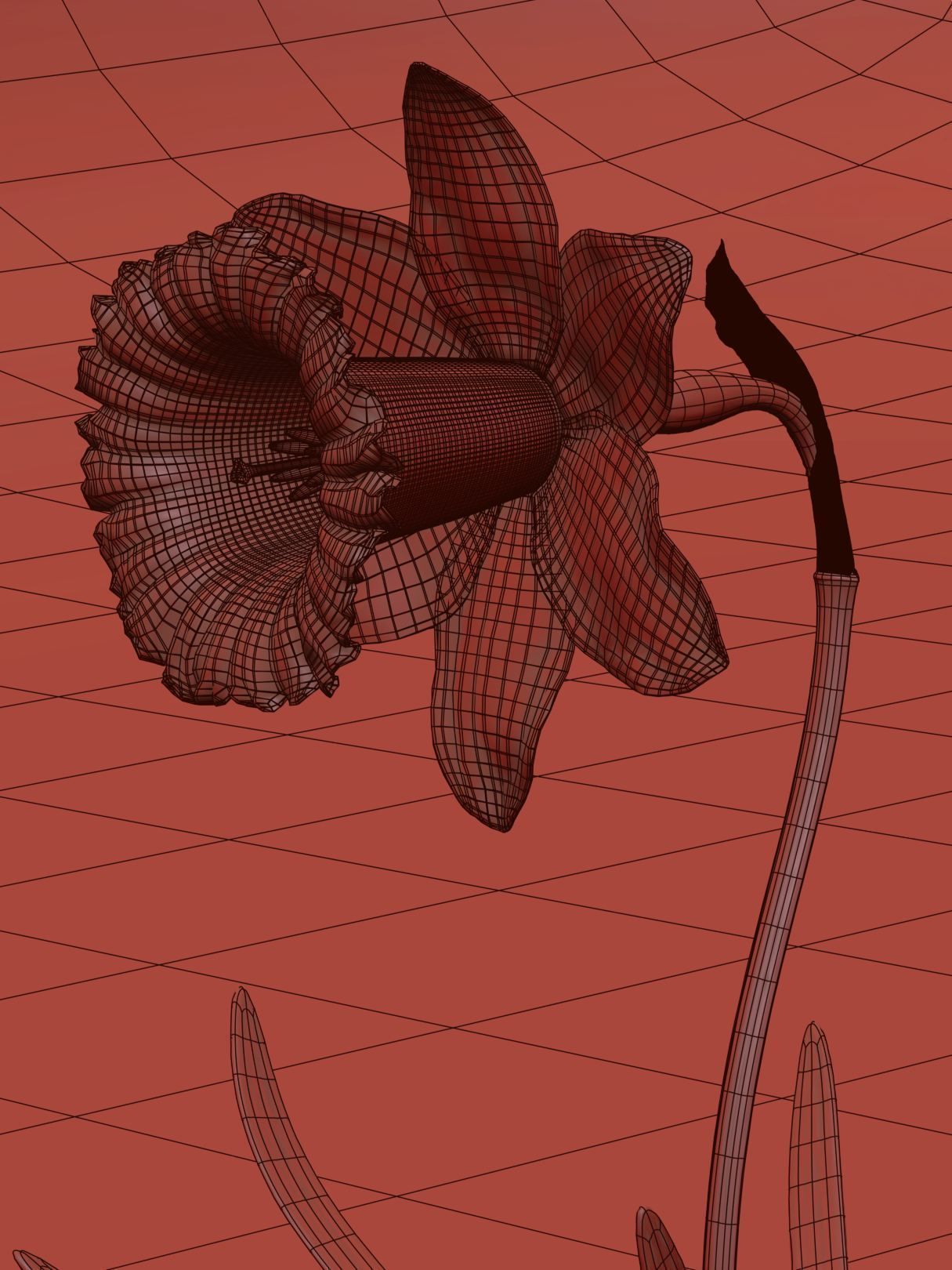 Daffodil Low-poly 3D model_14