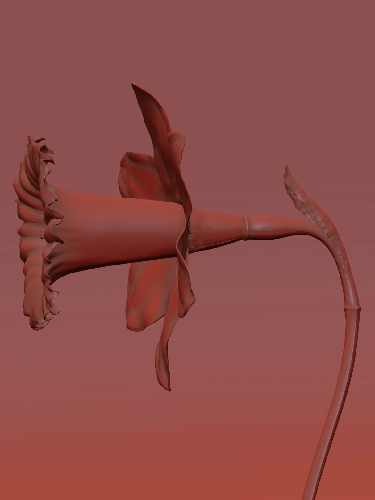 Daffodil Low-poly 3D model_10