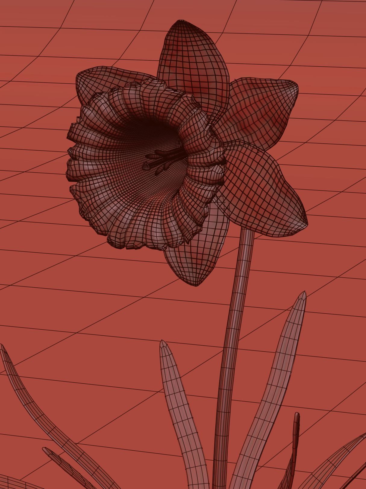 Daffodil Low-poly 3D model_12
