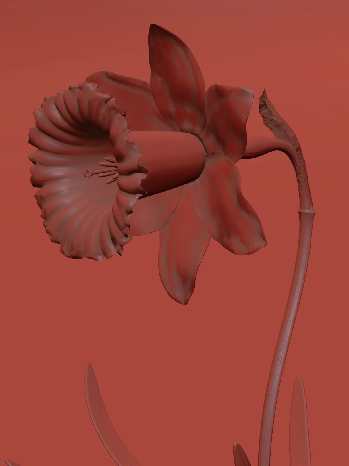 Daffodil Low-poly 3D model_9