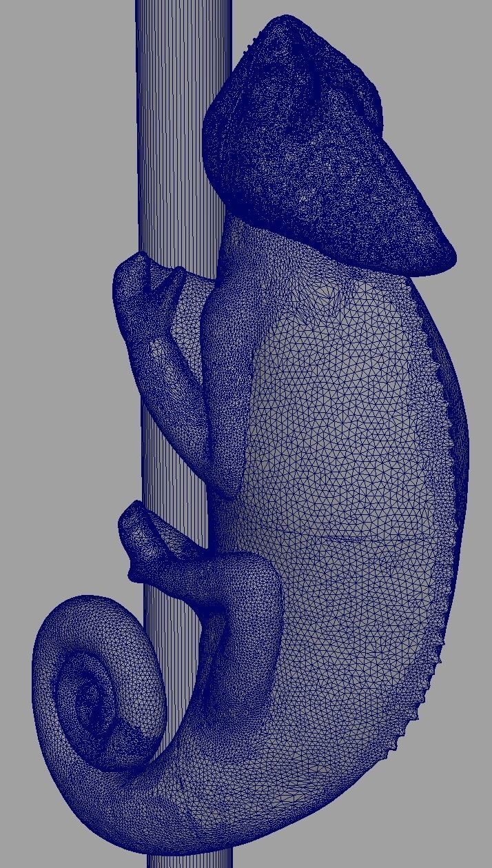 Chameleon Climbing 3D print model_10