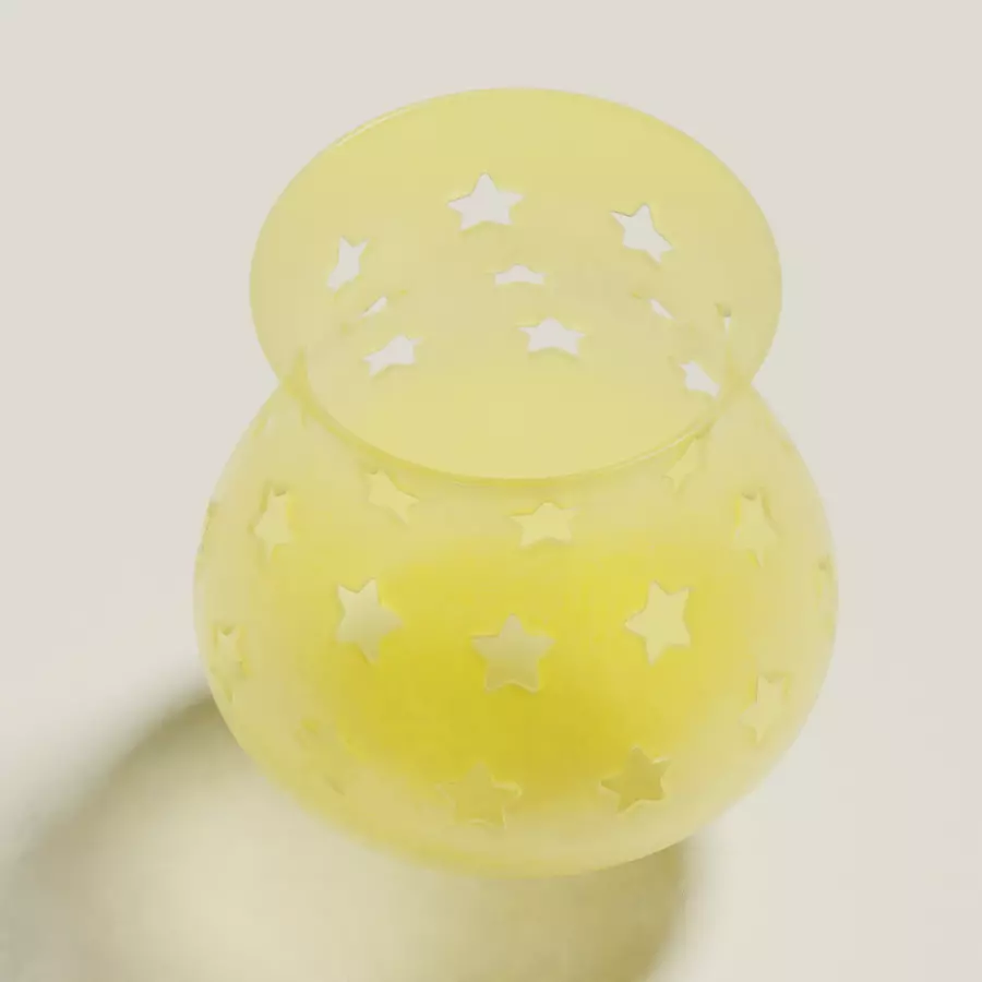 Transparent Star Flower Vase 3D model_0
