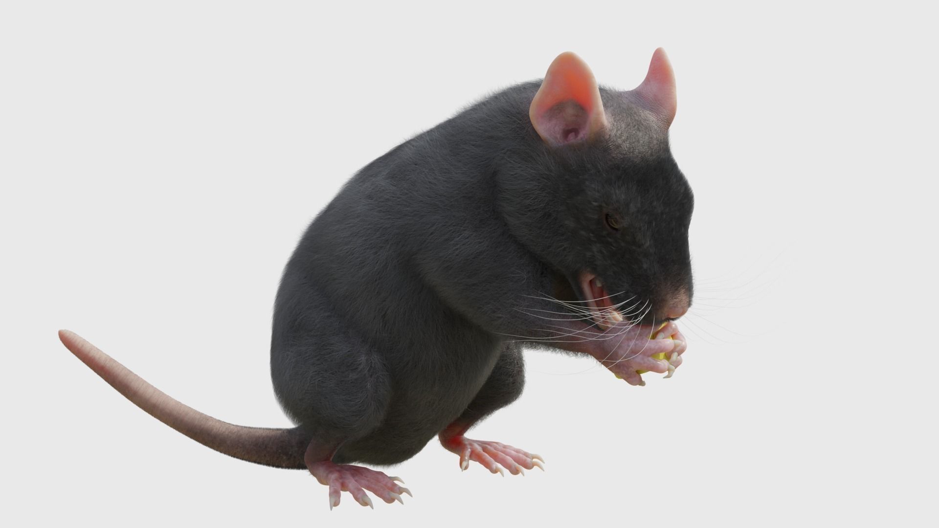 RET FOR VFX CGI 3D model_4