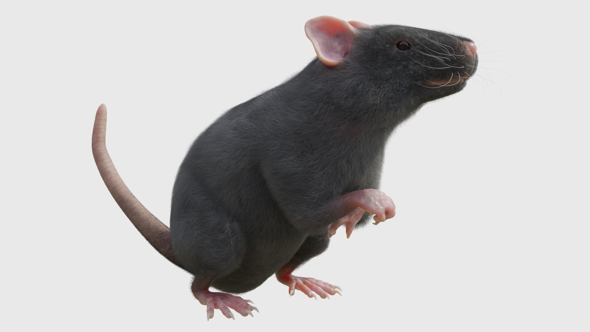 RET FOR VFX CGI 3D model_5