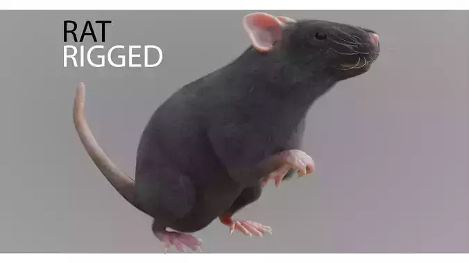 RET FOR VFX CGI 3D model