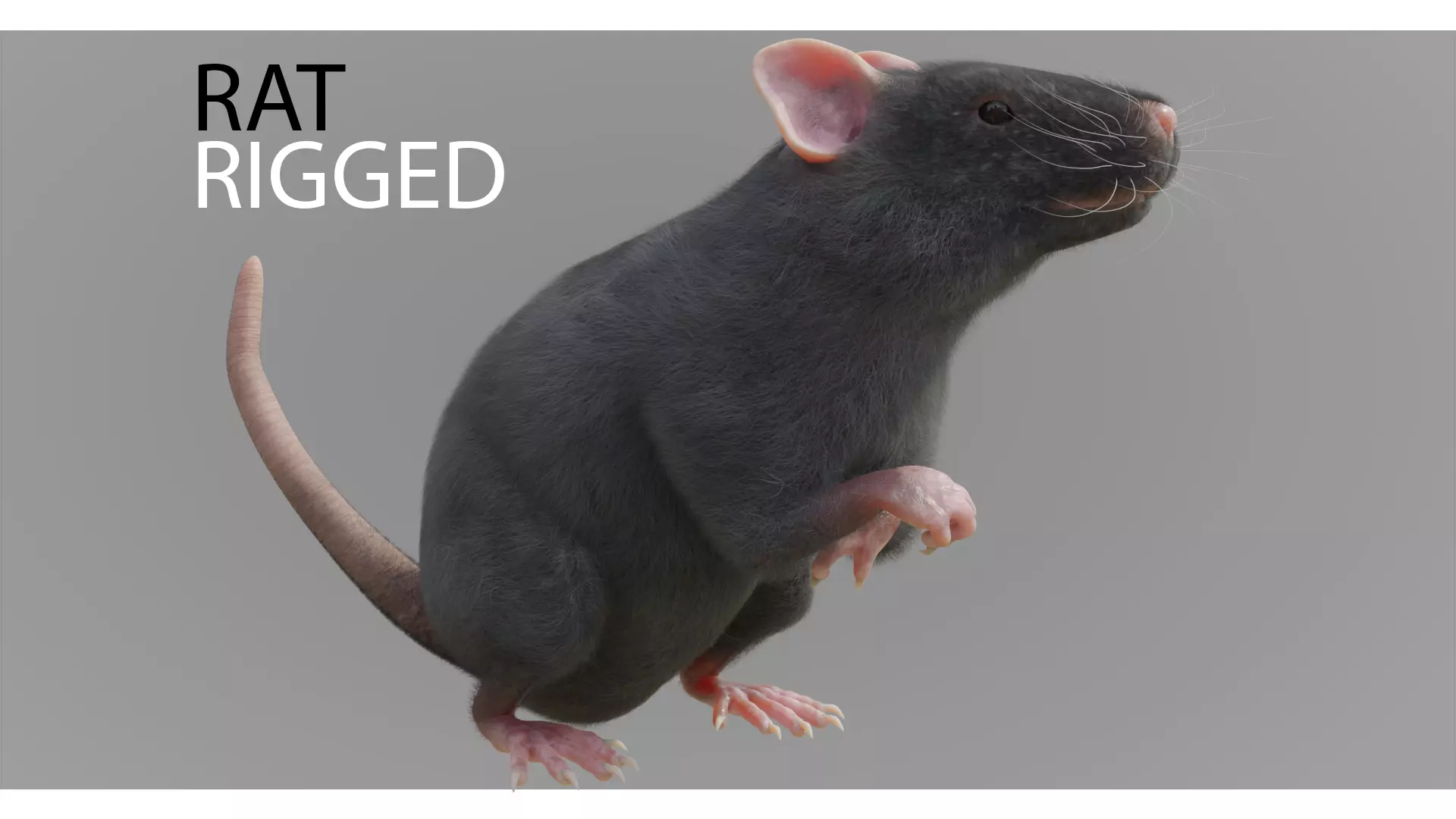 RET FOR VFX CGI 3D model_0