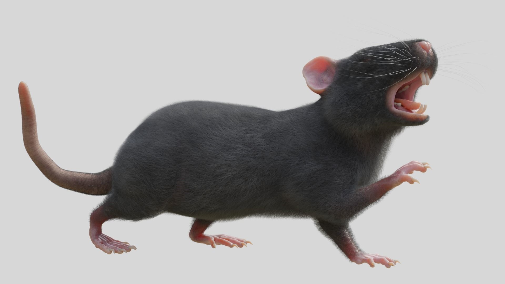 RET FOR VFX CGI 3D model_1