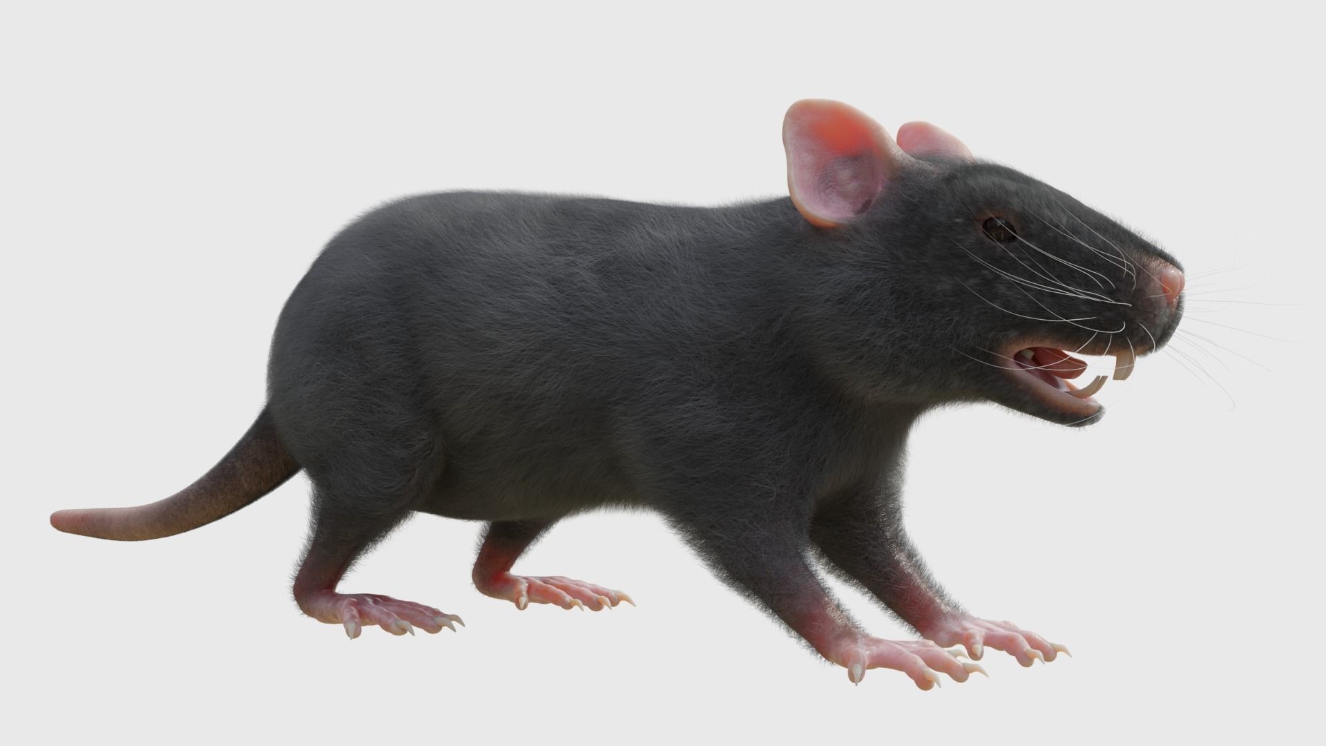 RET FOR VFX CGI 3D model_2