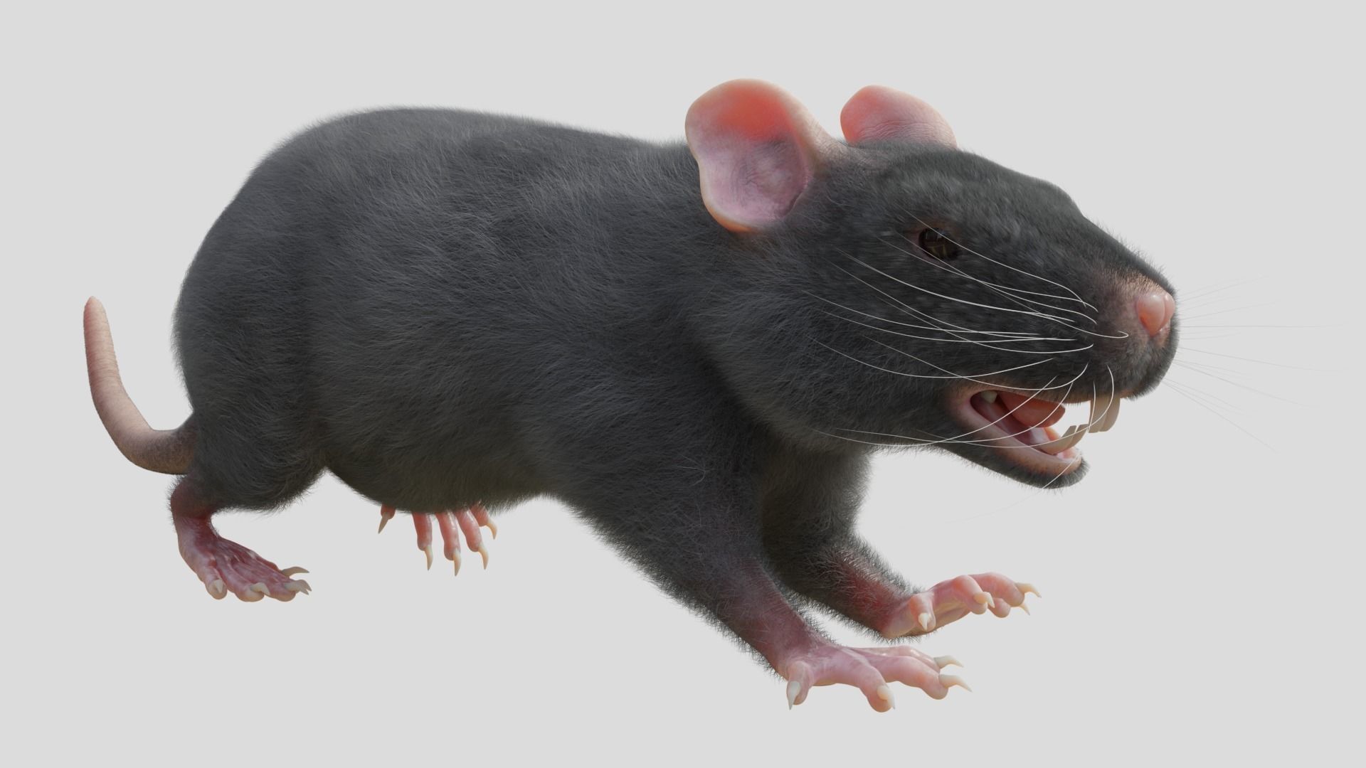 RET FOR VFX CGI 3D model_3