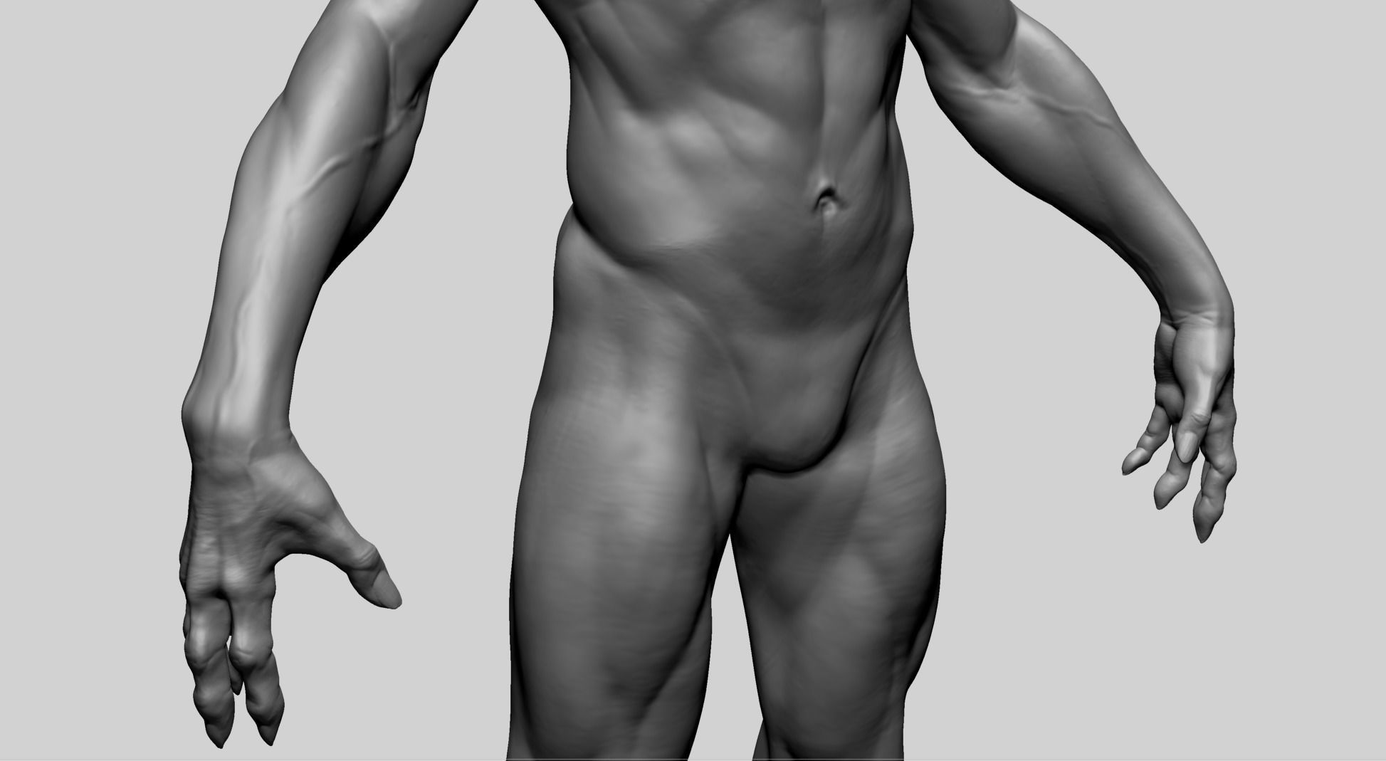 Fantasy Male Anatomy A 3D model_15