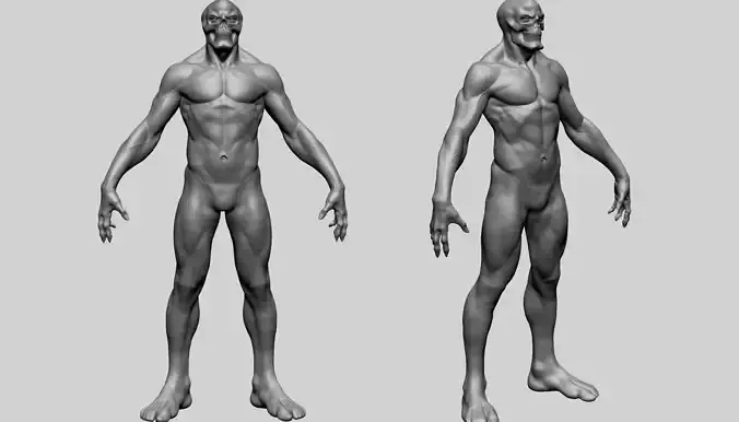 Fantasy Male Anatomy A 3D model