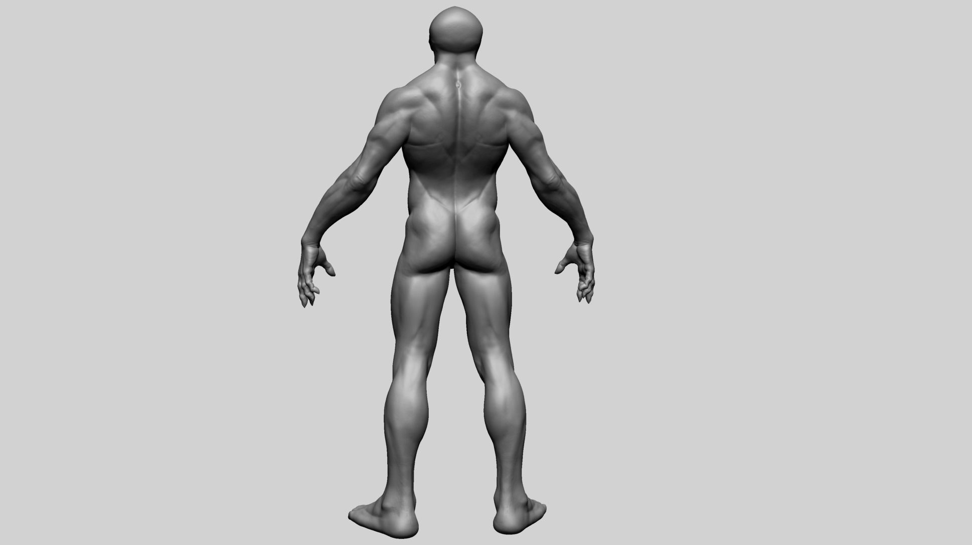 Fantasy Male Anatomy A 3D model_5