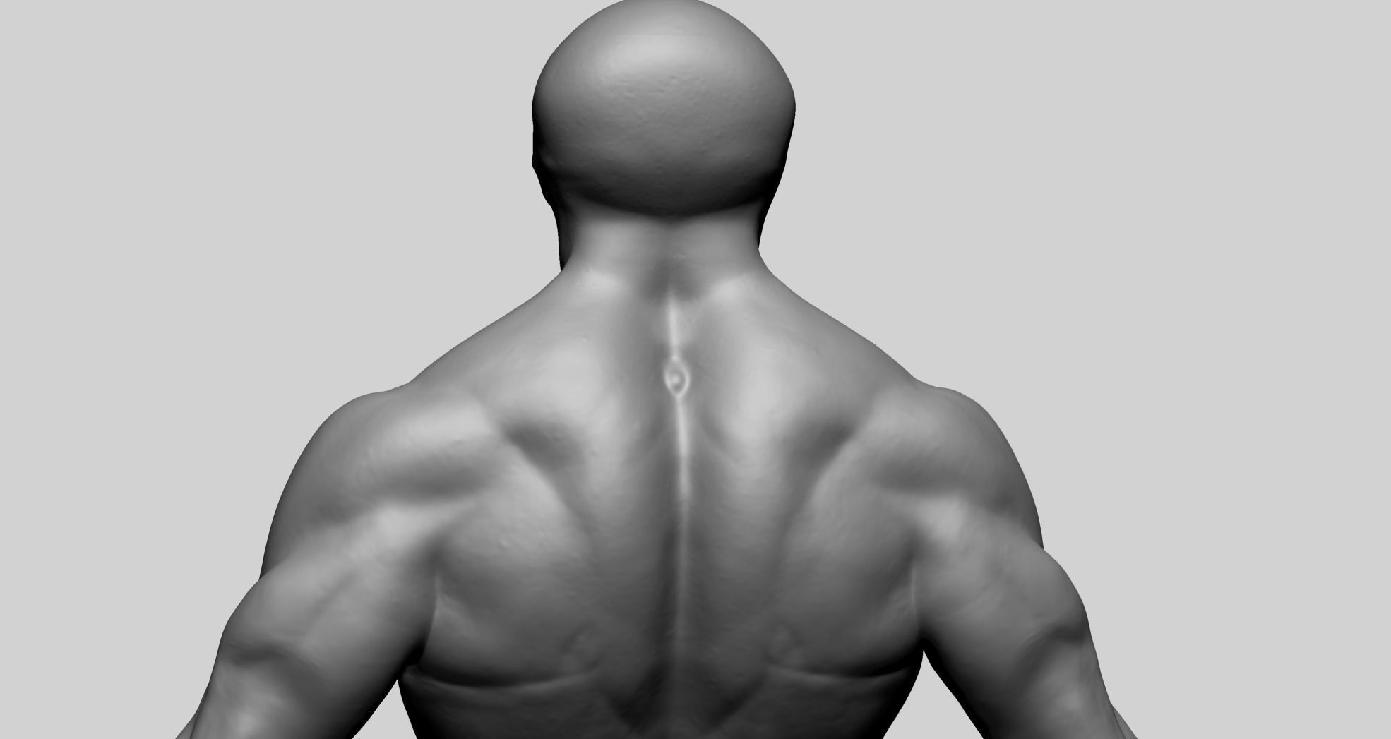 Fantasy Male Anatomy A 3D model_12