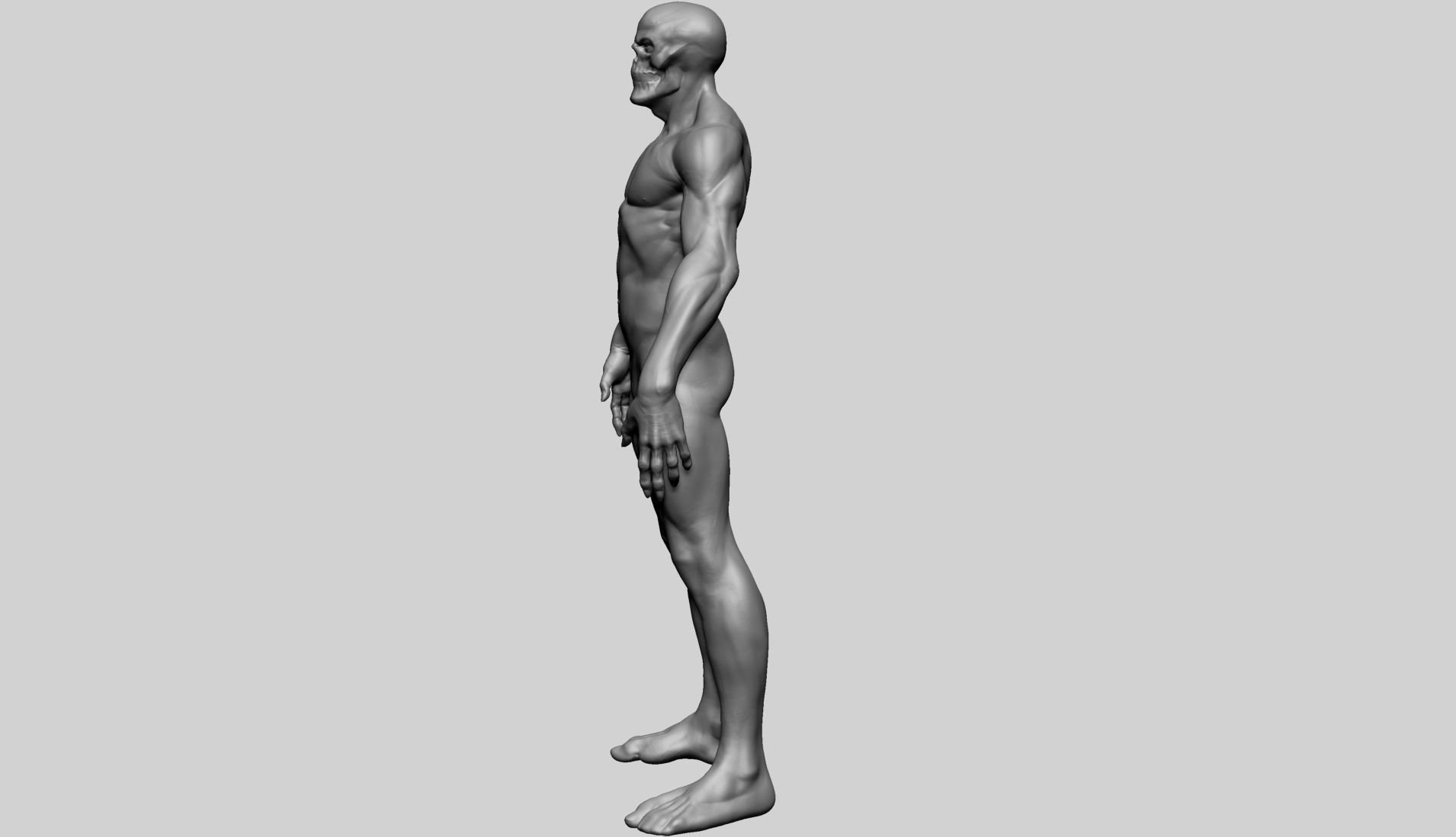 Fantasy Male Anatomy A 3D model_7