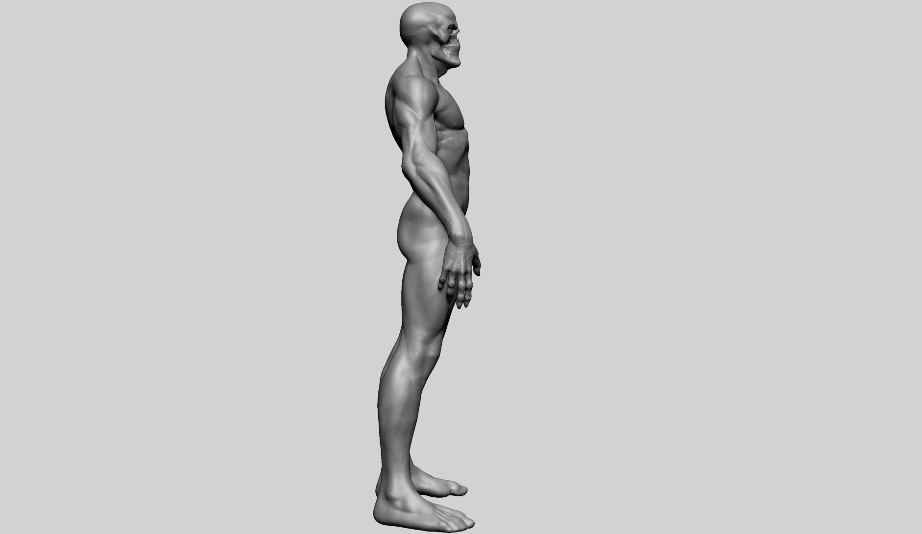 Fantasy Male Anatomy A 3D model_3