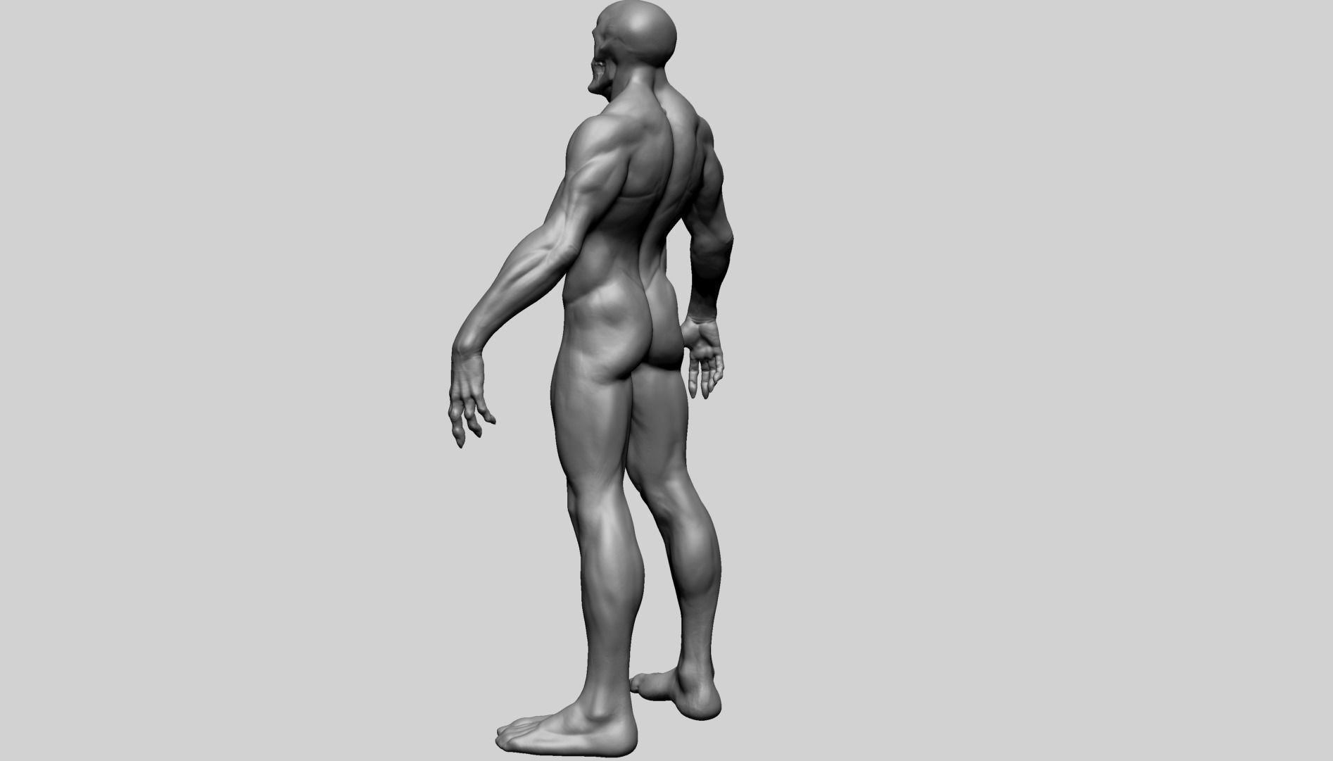 Fantasy Male Anatomy A 3D model_6