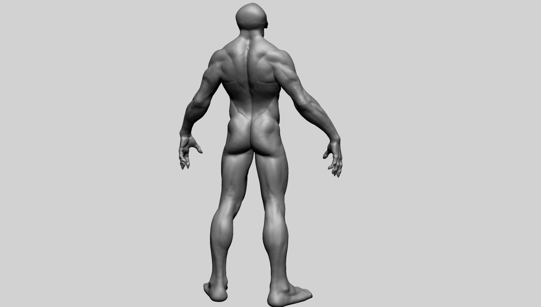Fantasy Male Anatomy A 3D model_4