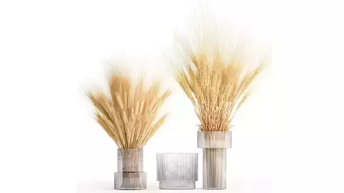 Bouquet of dried wheat spikelets in a glass vase 399