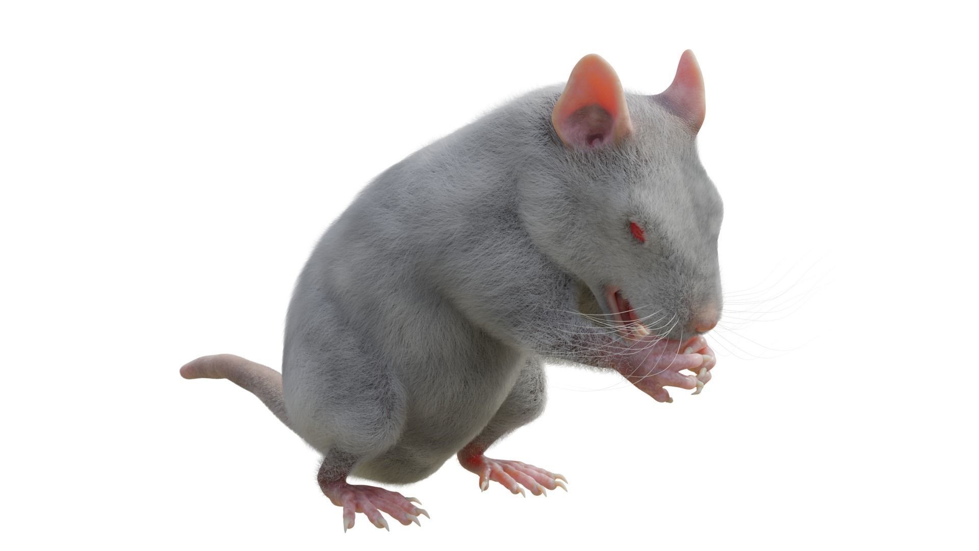 RET FOR VFX CGI 3D model_3