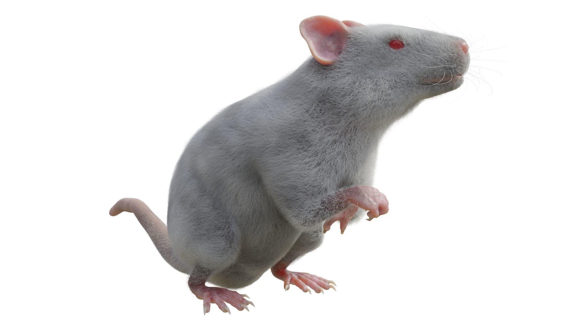 RET FOR VFX CGI 3D model_1