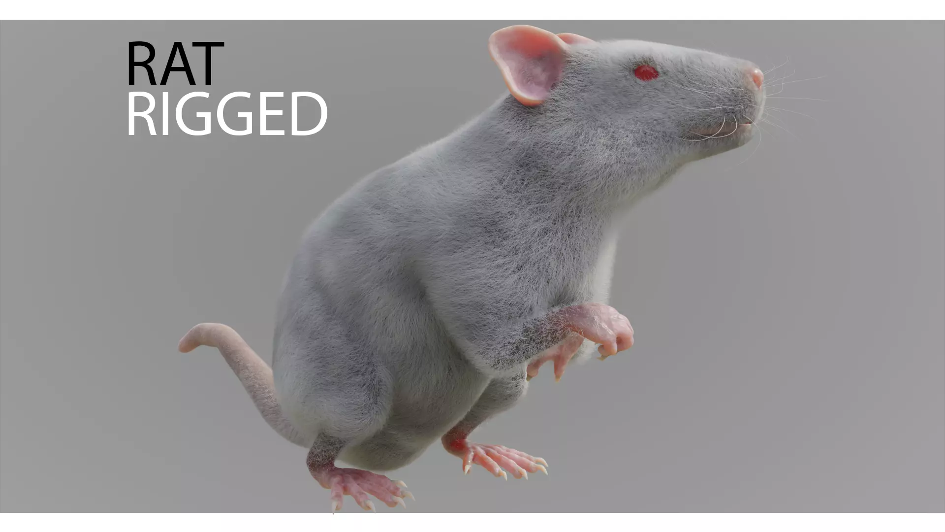 RET FOR VFX CGI 3D model_0