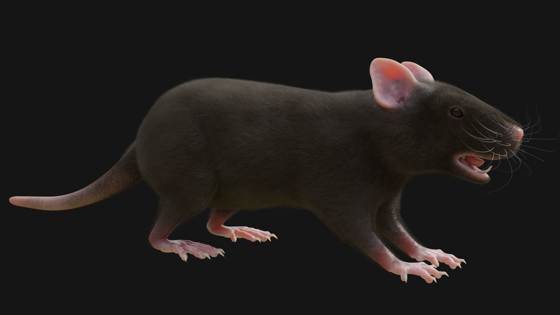 RET FOR VFX CGI 3D model_2