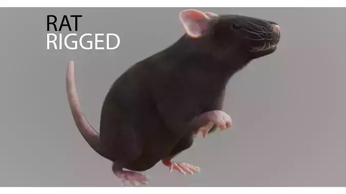 RET FOR VFX CGI 3D model