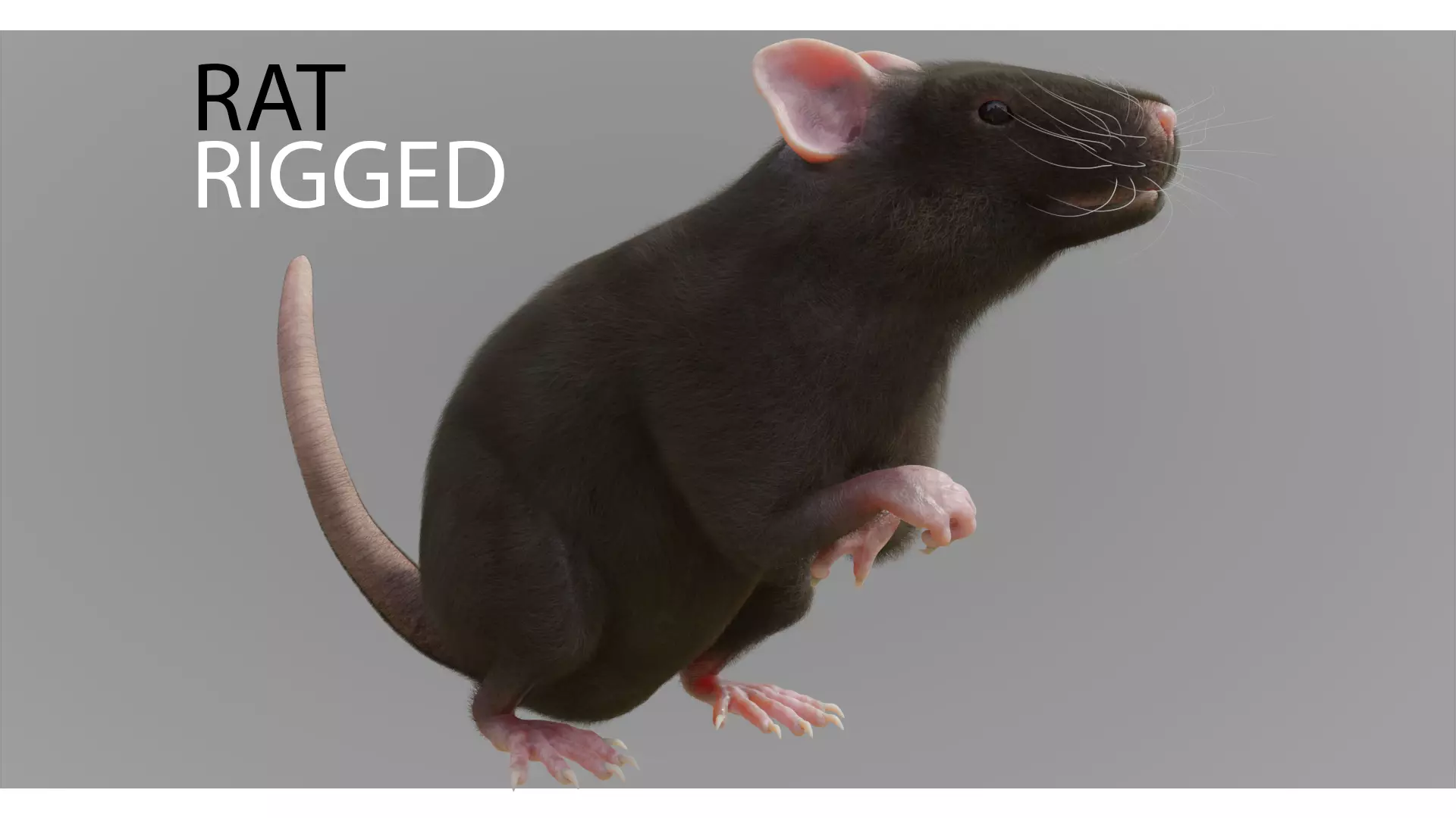 RET FOR VFX CGI 3D model_0