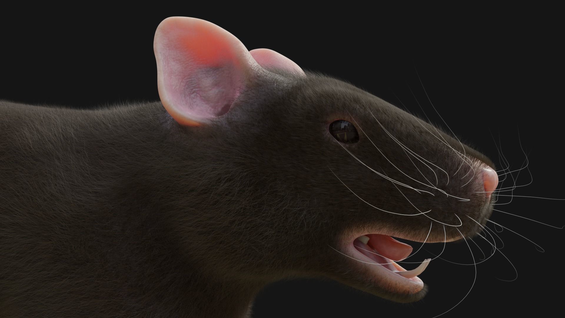 RET FOR VFX CGI 3D model_5