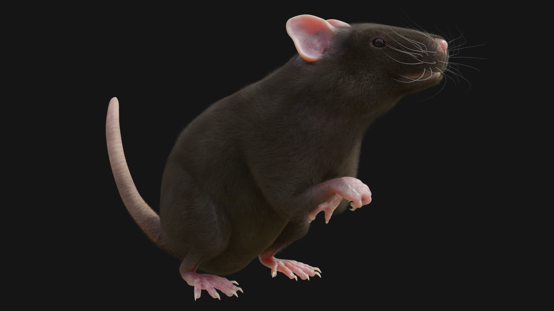 RET FOR VFX CGI 3D model_1