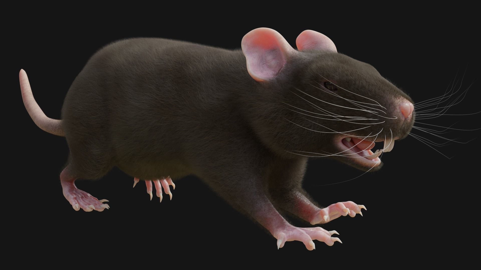 RET FOR VFX CGI 3D model_4