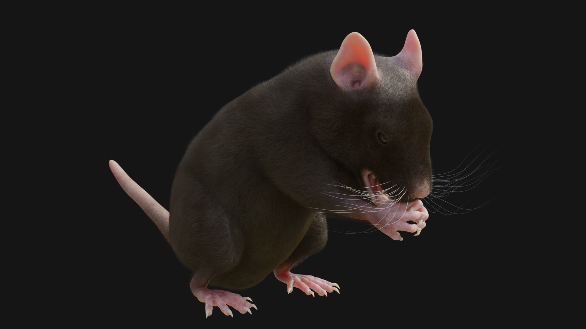 RET FOR VFX CGI 3D model_6