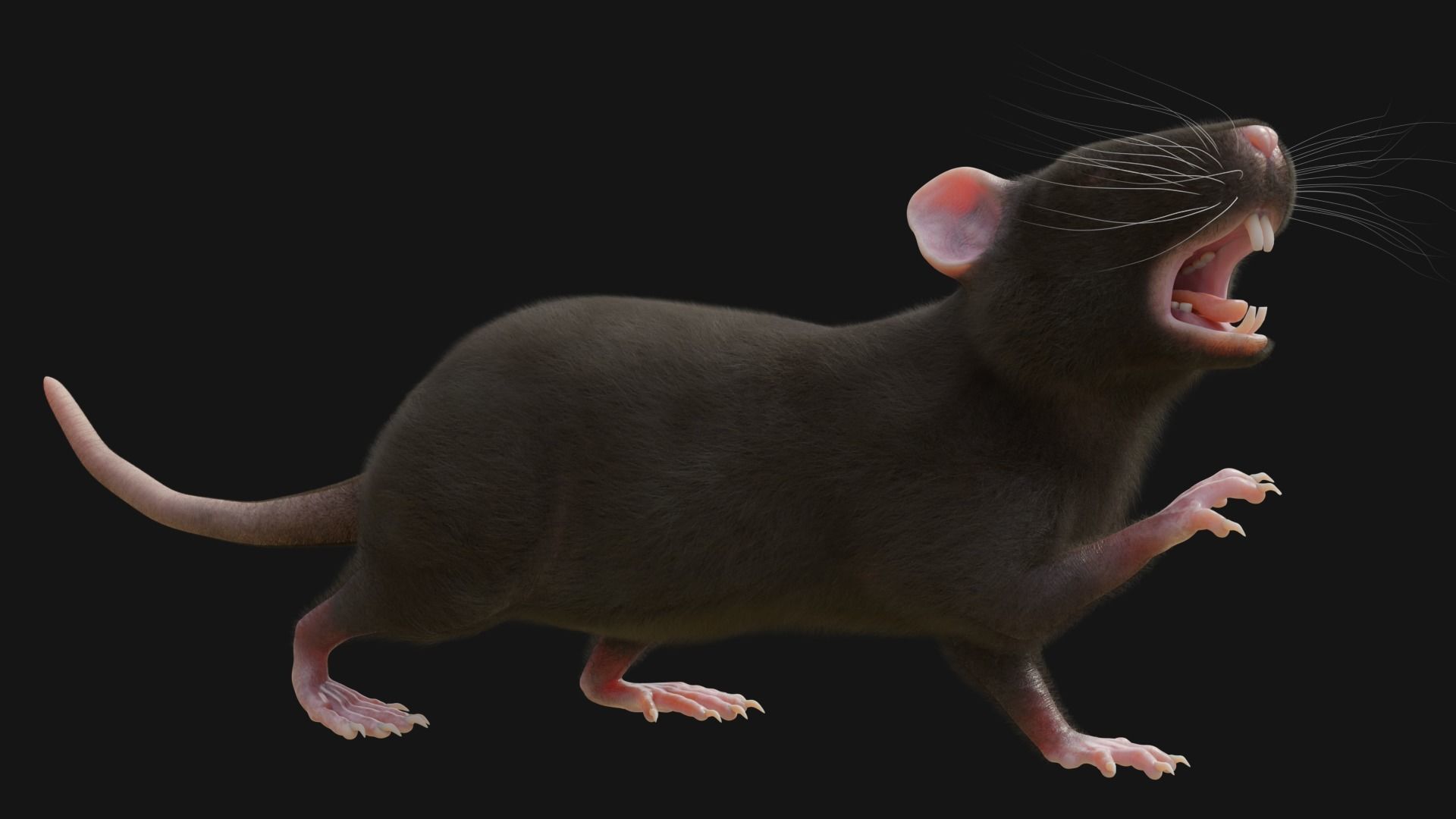 RET FOR VFX CGI 3D model_3