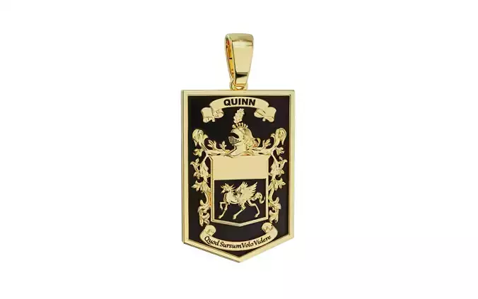 QUINN FAMILY CREST PENDANT FOR MEN 3D print model
