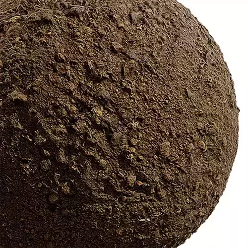 Gravel Seamless Texture 2K - EXR 5 - JPG 5 Texture