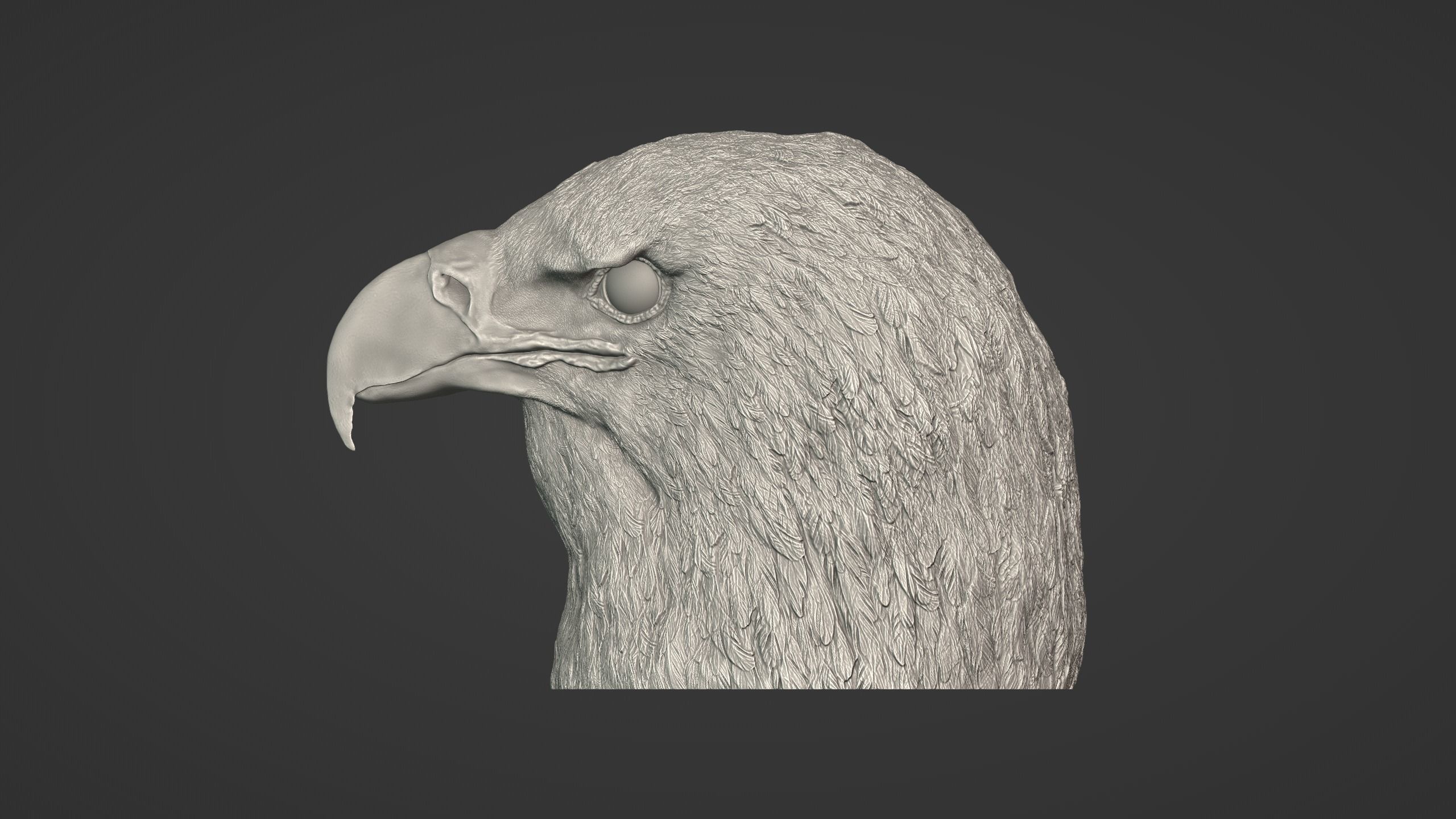 Eagle Head 3D model_3