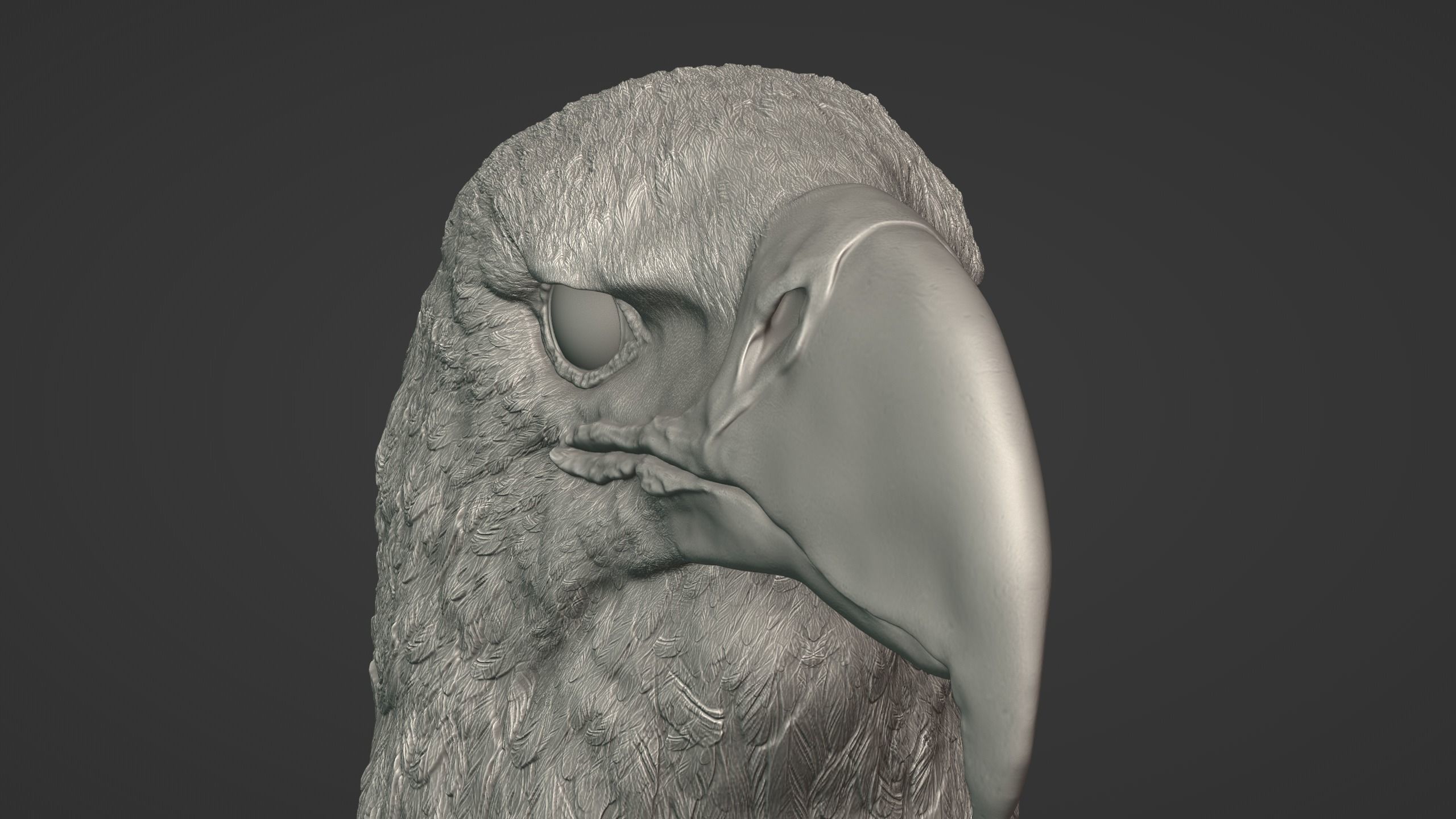 Eagle Head 3D model_8
