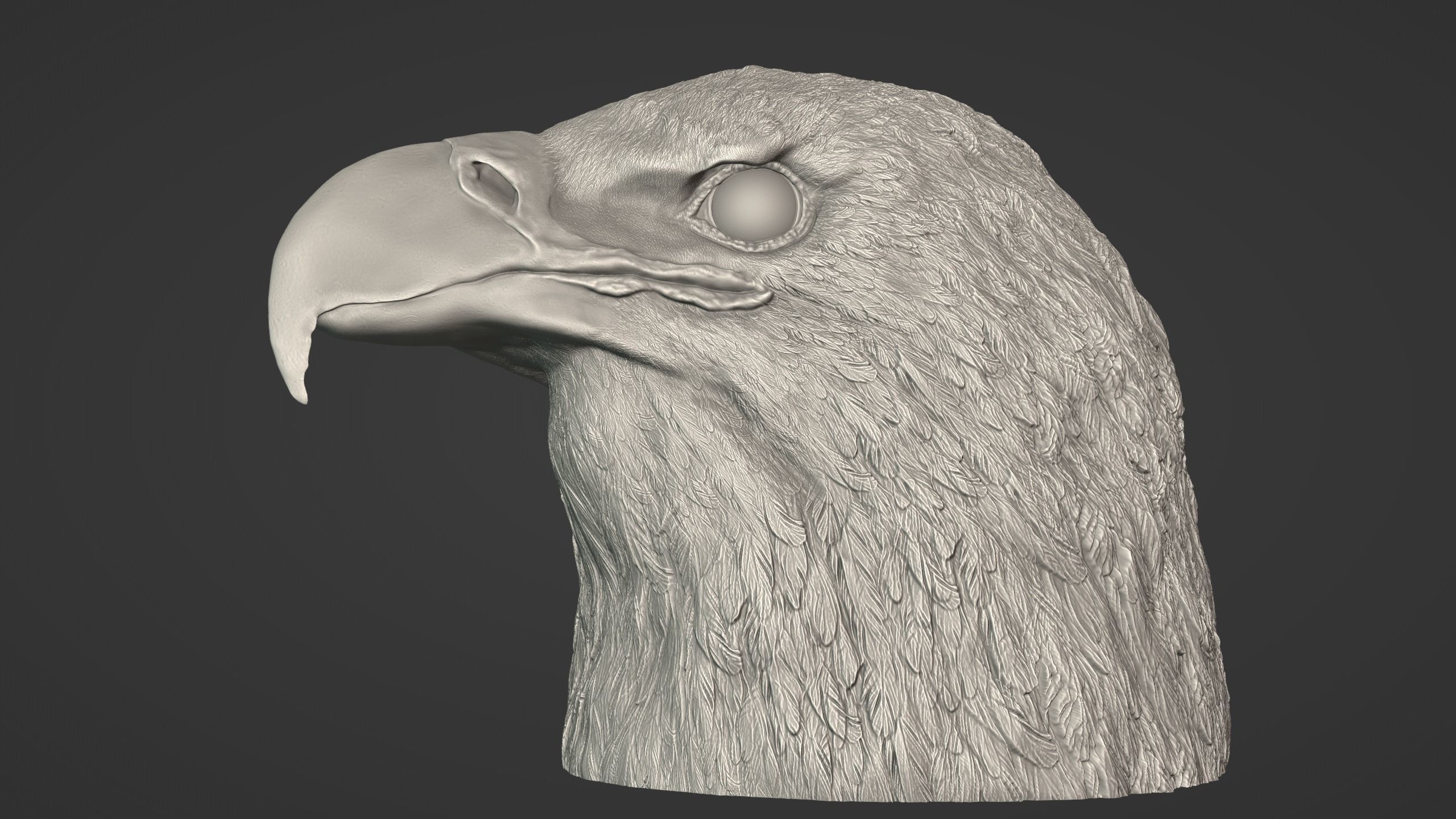 Eagle Head 3D model_9