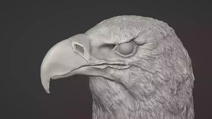Eagle Head 3D model