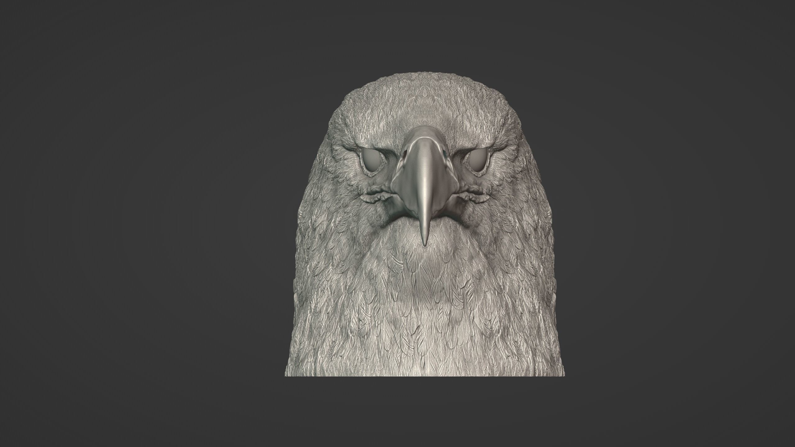 Eagle Head 3D model_4