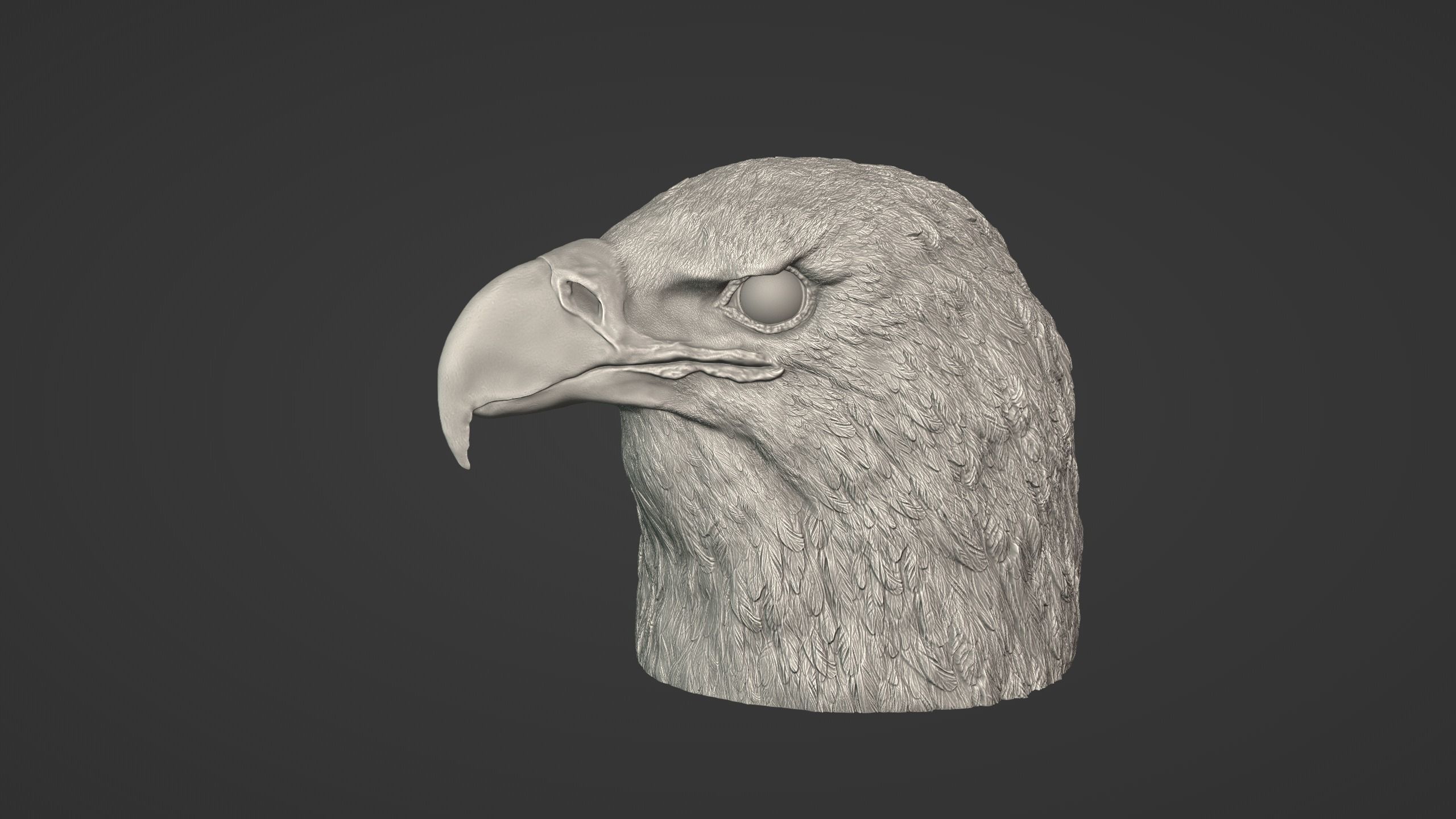 Eagle Head 3D model_10