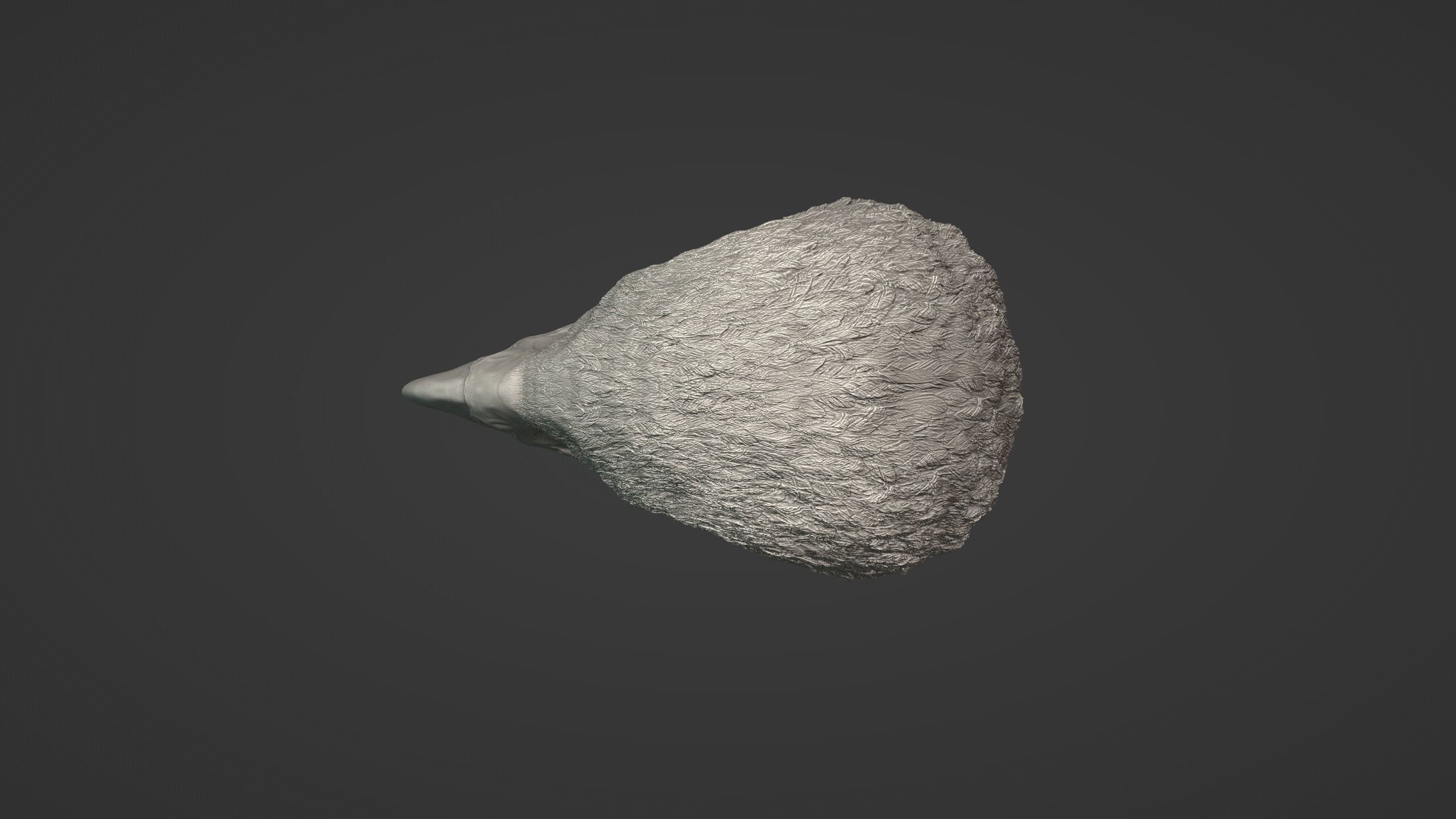 Eagle Head 3D model_5