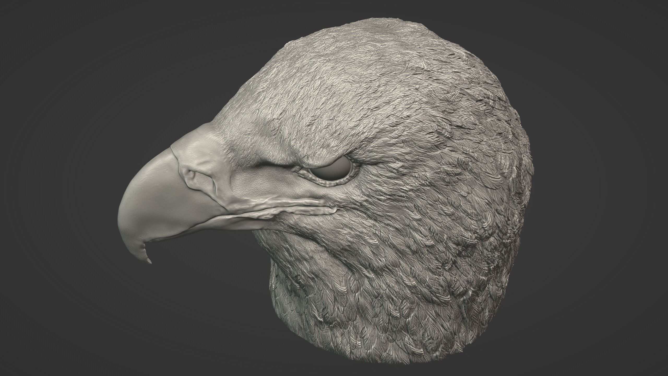 Eagle Head 3D model_6