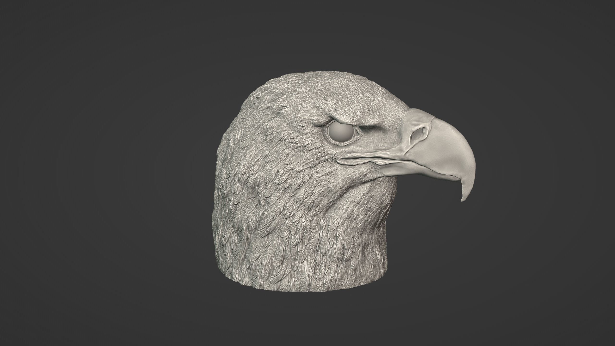 Eagle Head 3D model_2