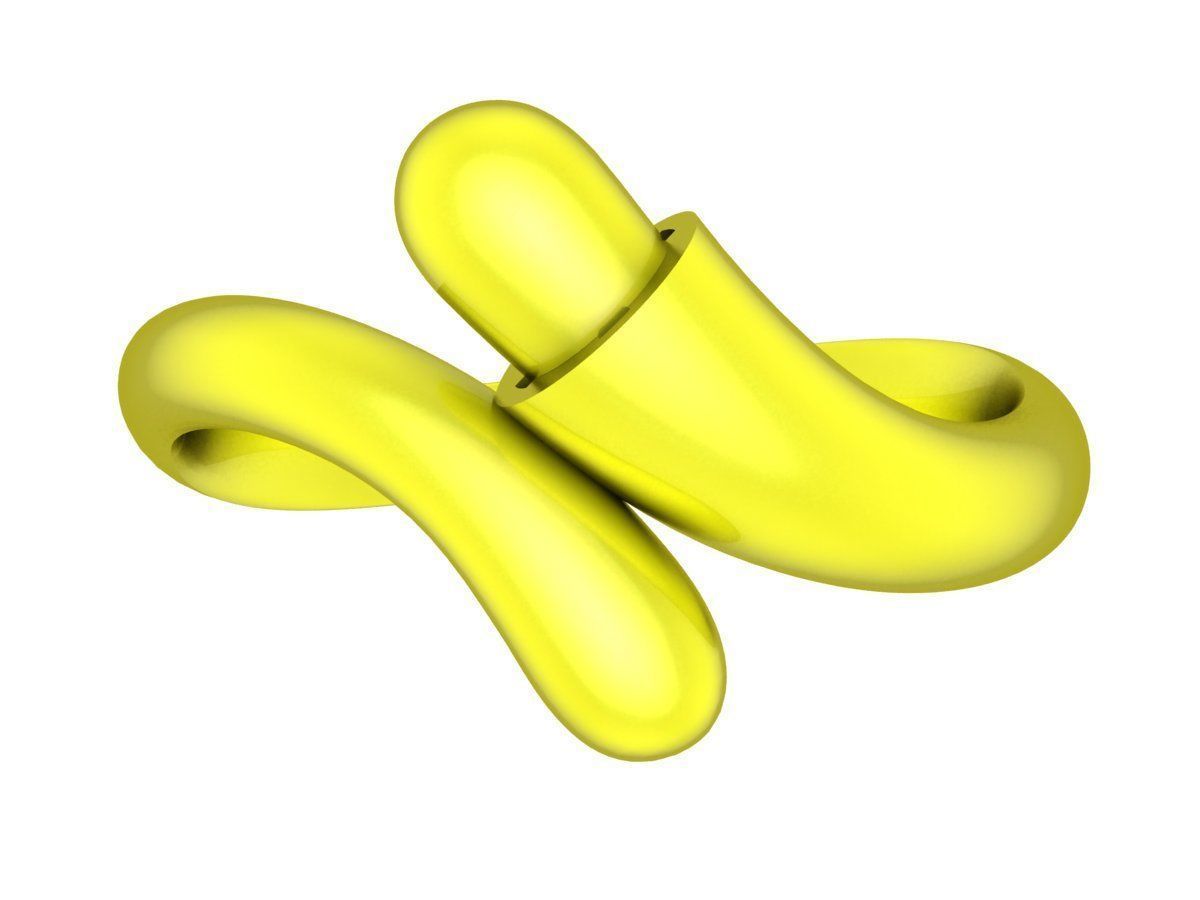 A4558 Art Women Ring 3D print model_1