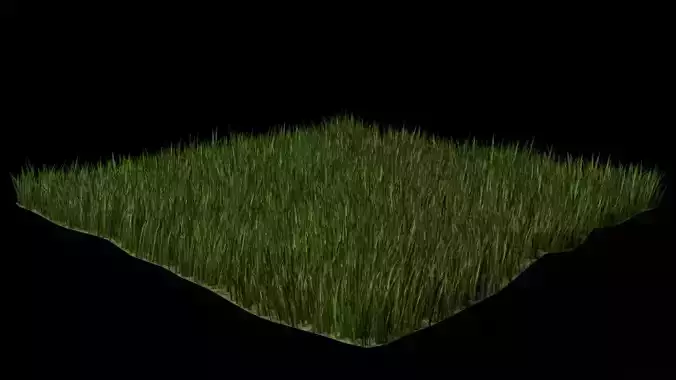 grass