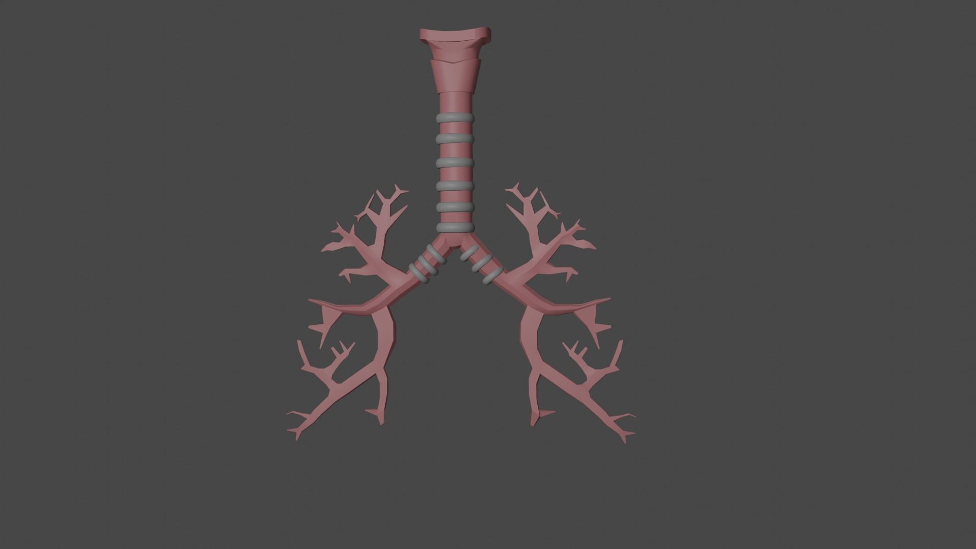 Interactive Lungs with Bronchioles 3D model_3